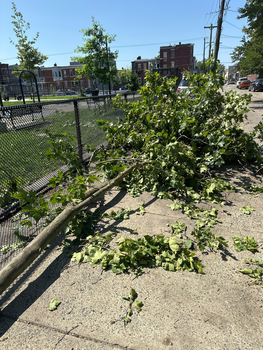 Photographic documentation of the work as submitted to the city's 311 record.