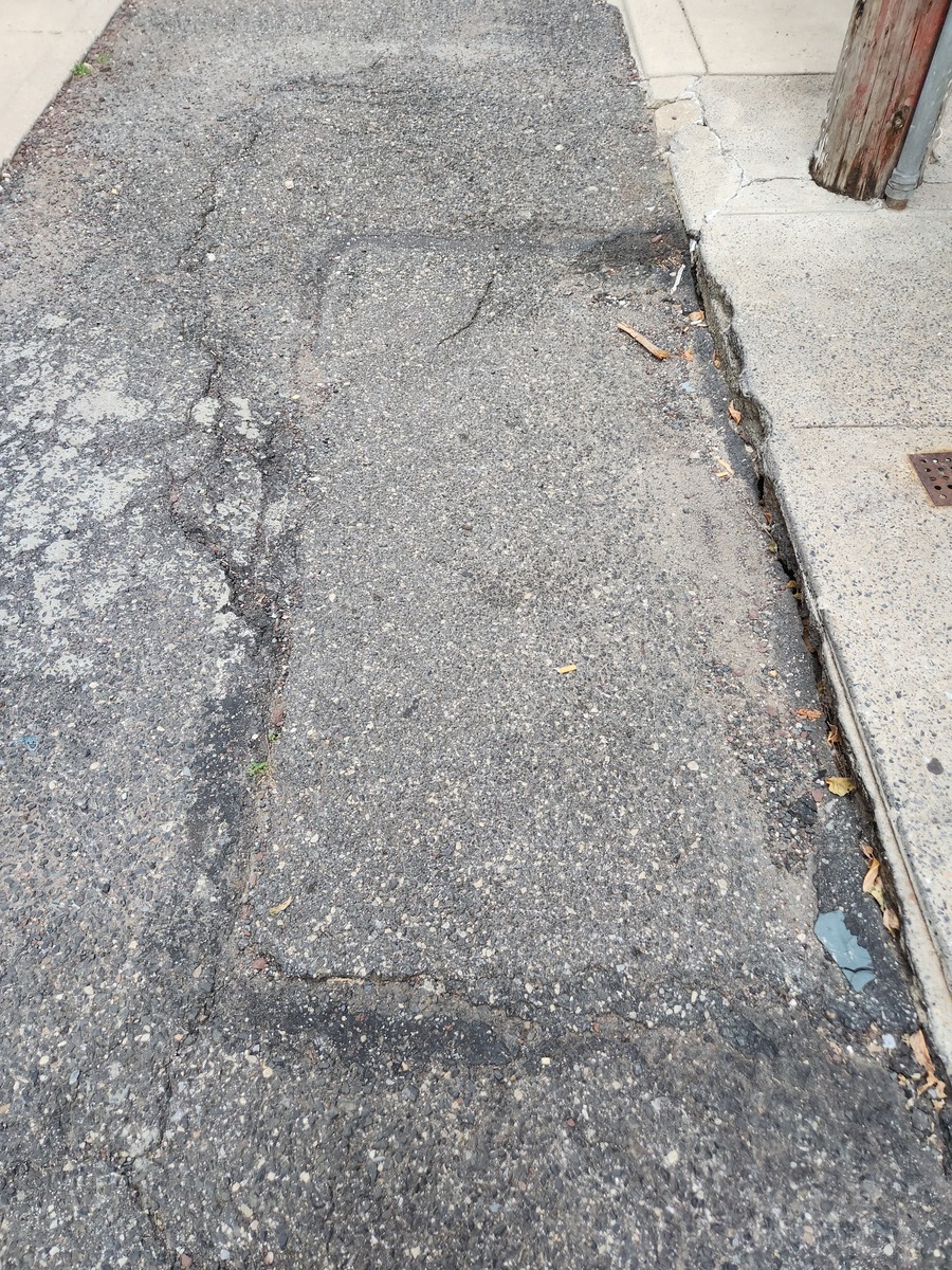 Photographic documentation of the work as submitted to the city's 311 record.