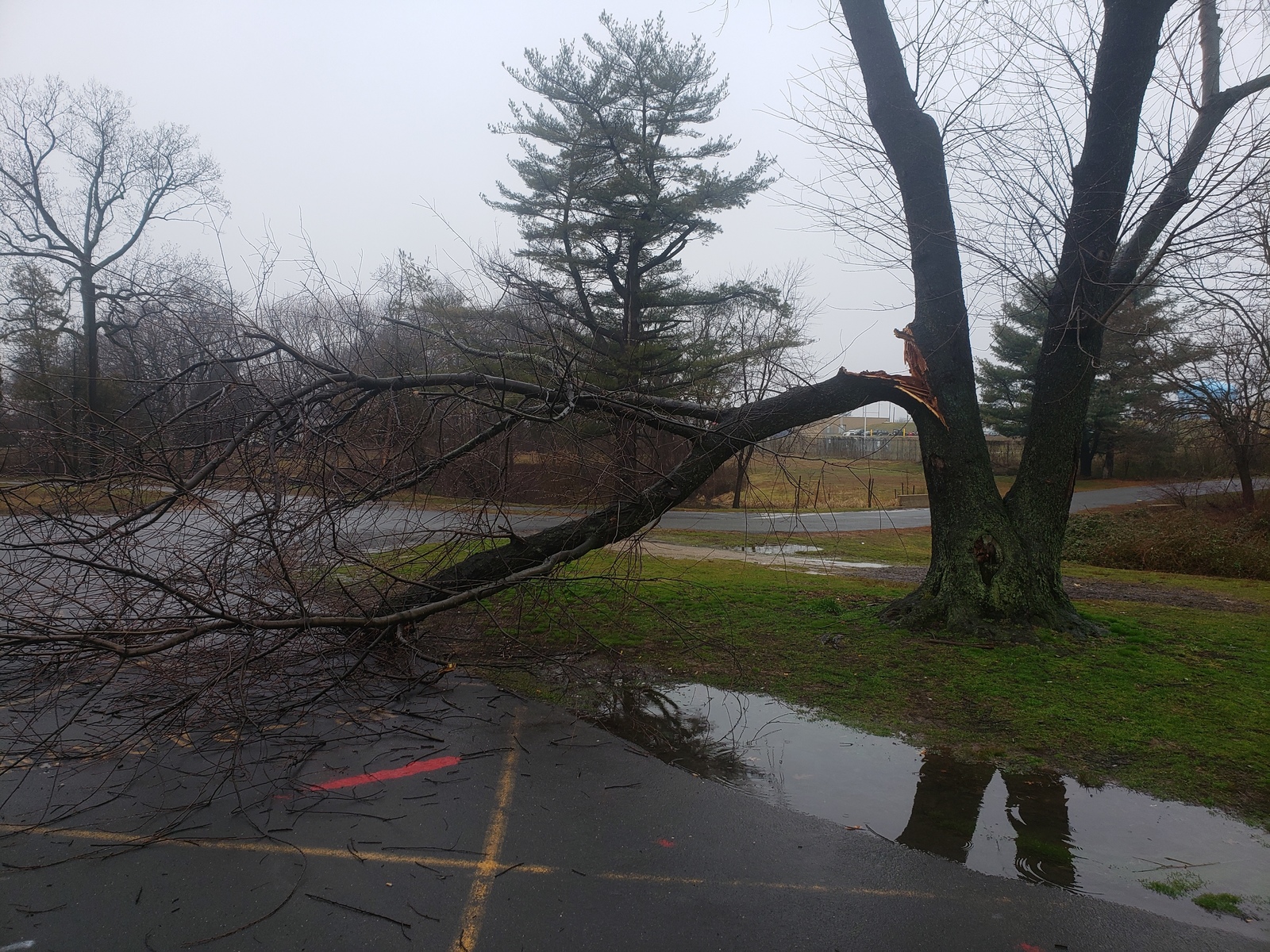 Photographic documentation of the work as submitted to the city's 311 record.