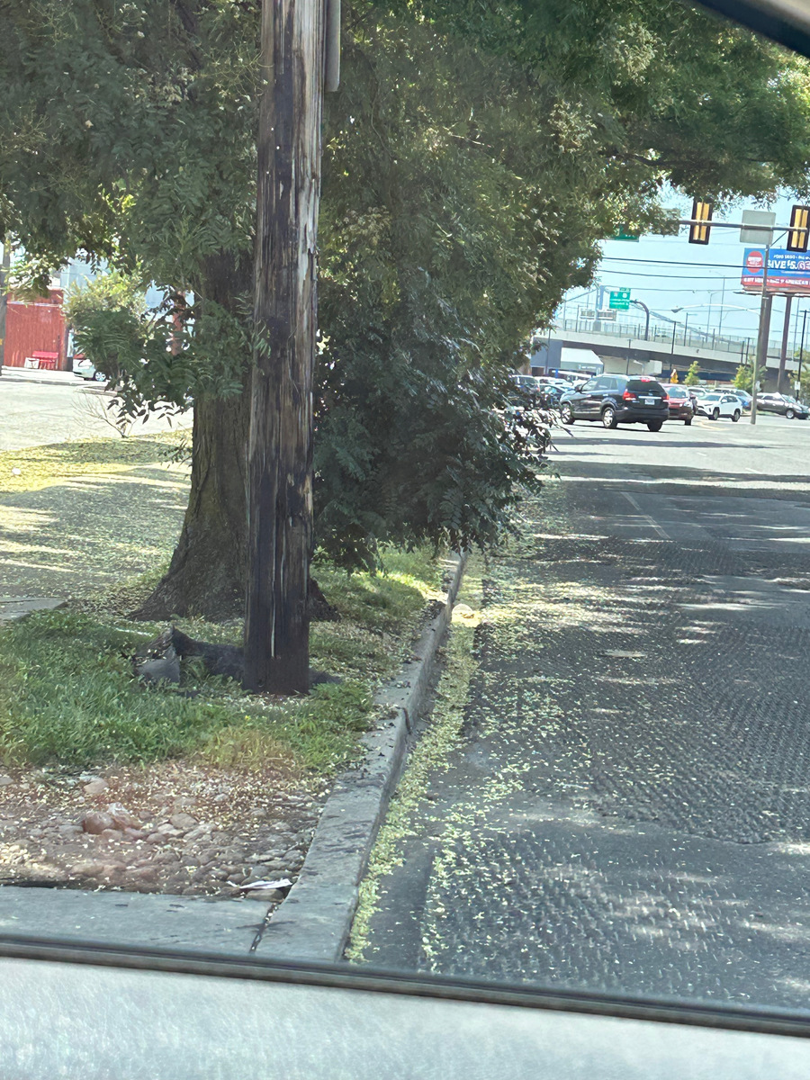 Photographic documentation of the work as submitted to the city's 311 record.