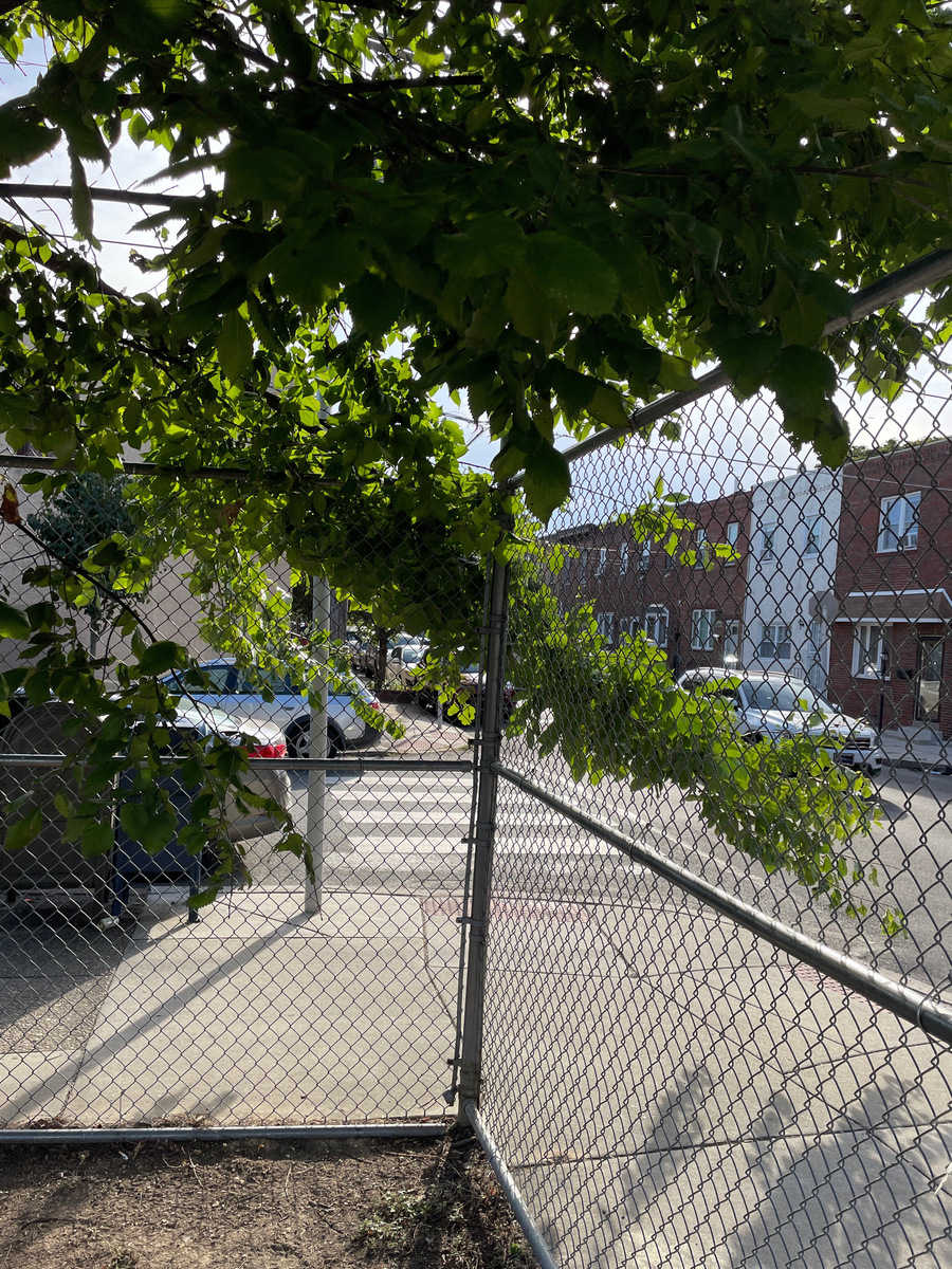 Photographic documentation of the work as submitted to the city's 311 record.