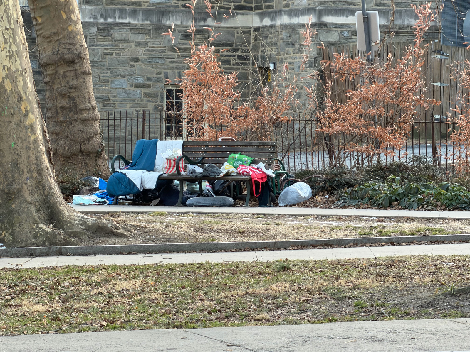 Photographic documentation of the work as submitted to the city's 311 record.