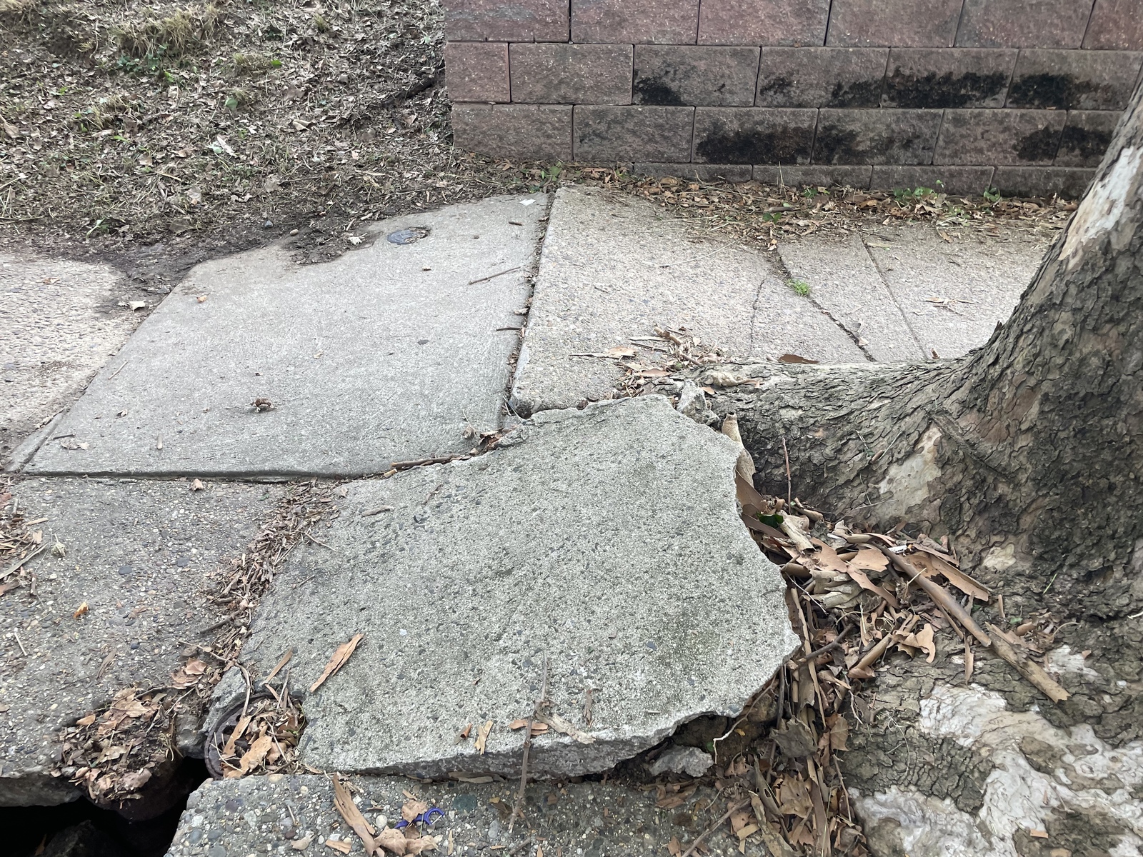 Photographic documentation of the work as submitted to the city's 311 record.