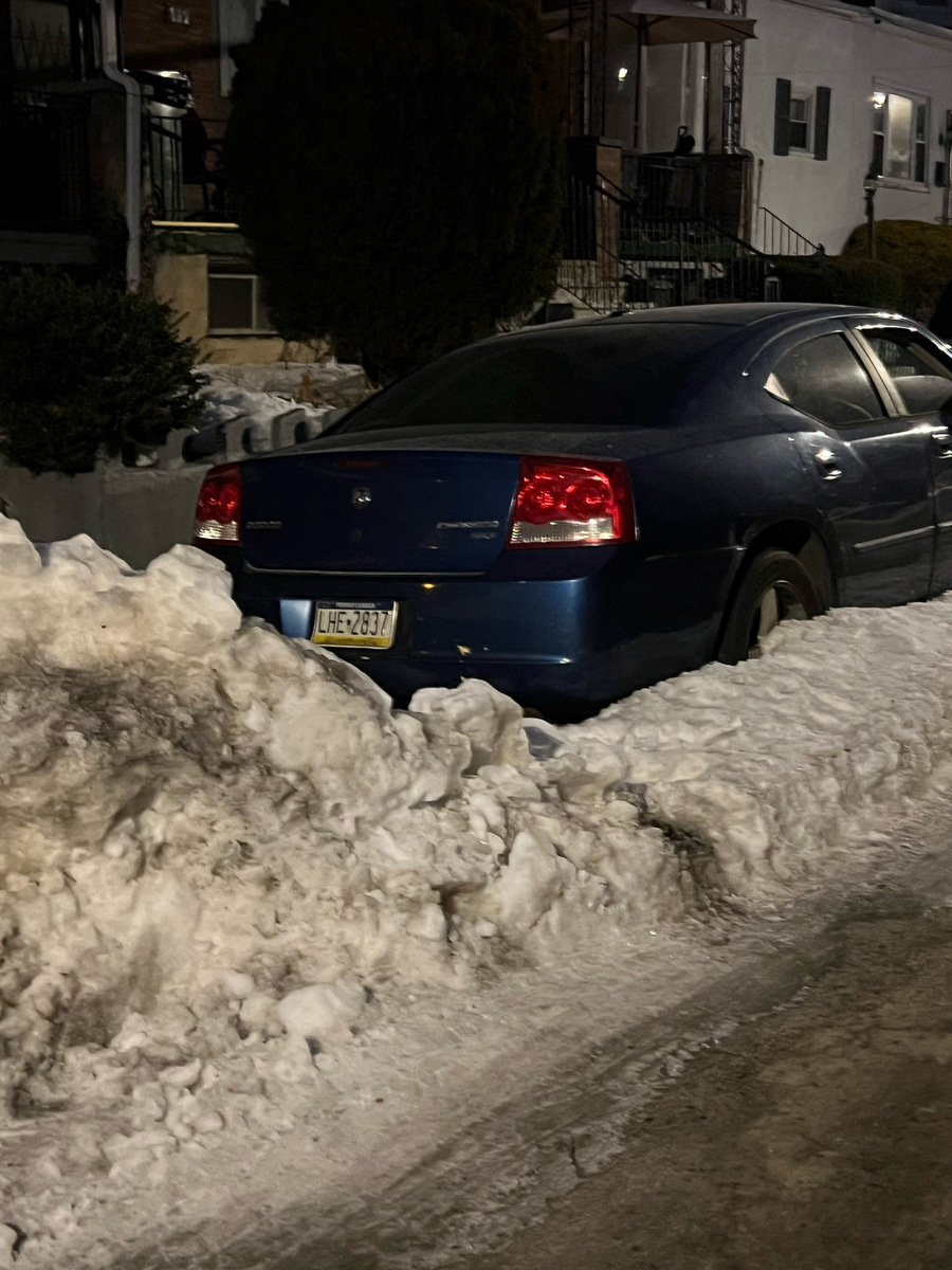 Photographic documentation of the work as submitted to the city's 311 record.
