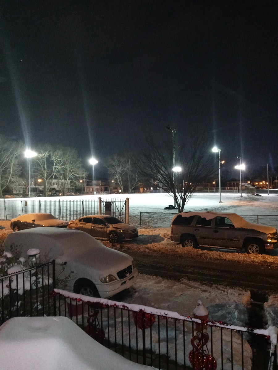 Photographic documentation of the work as submitted to the city's 311 record.