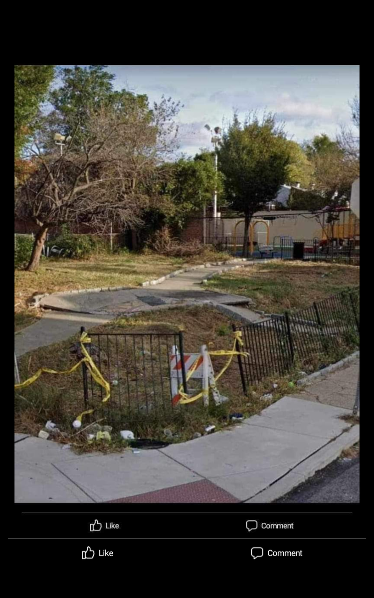 Photographic documentation of the work as submitted to the city's 311 record.