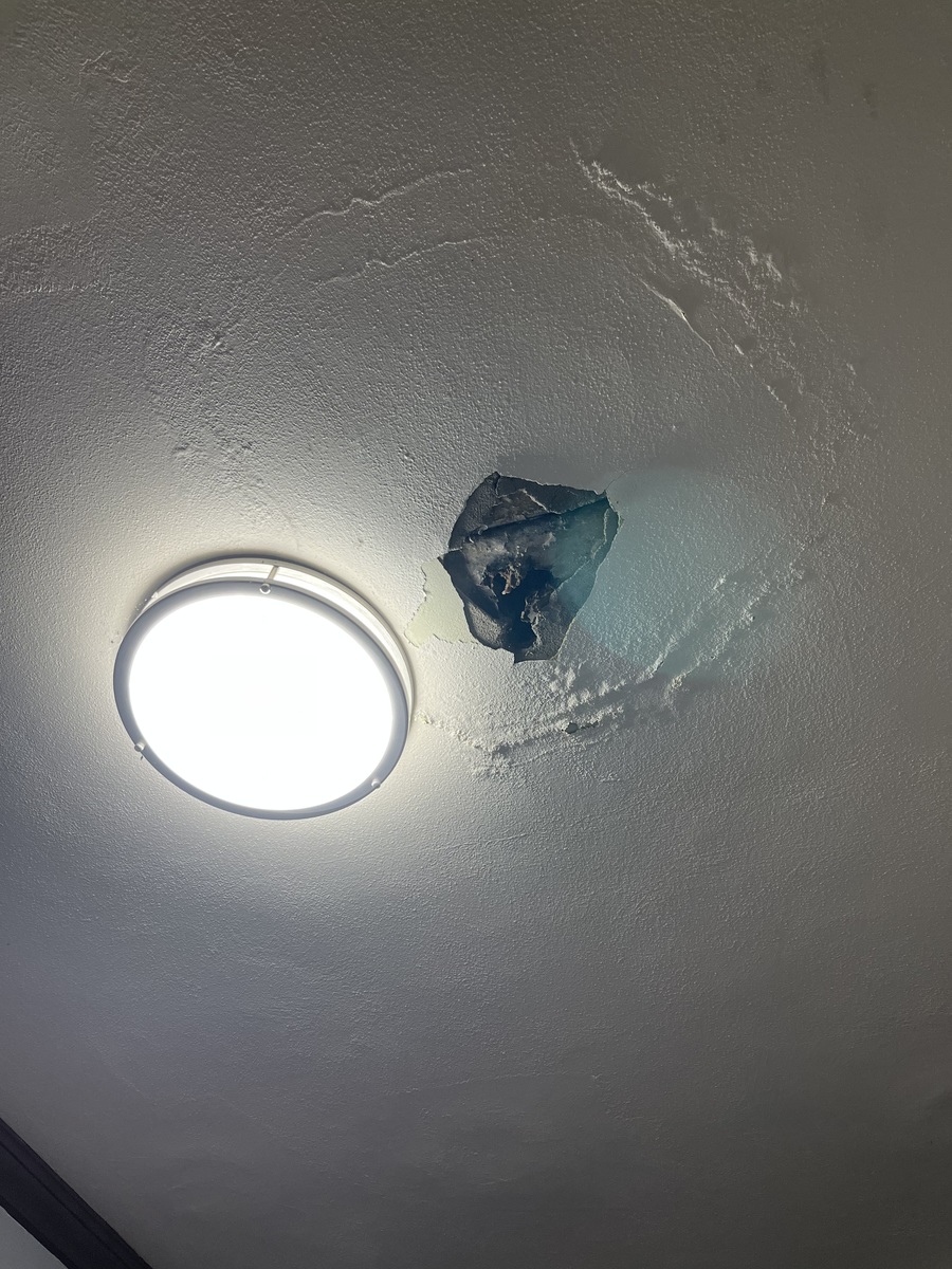 Photographic documentation of the work as submitted to the city's 311 record.