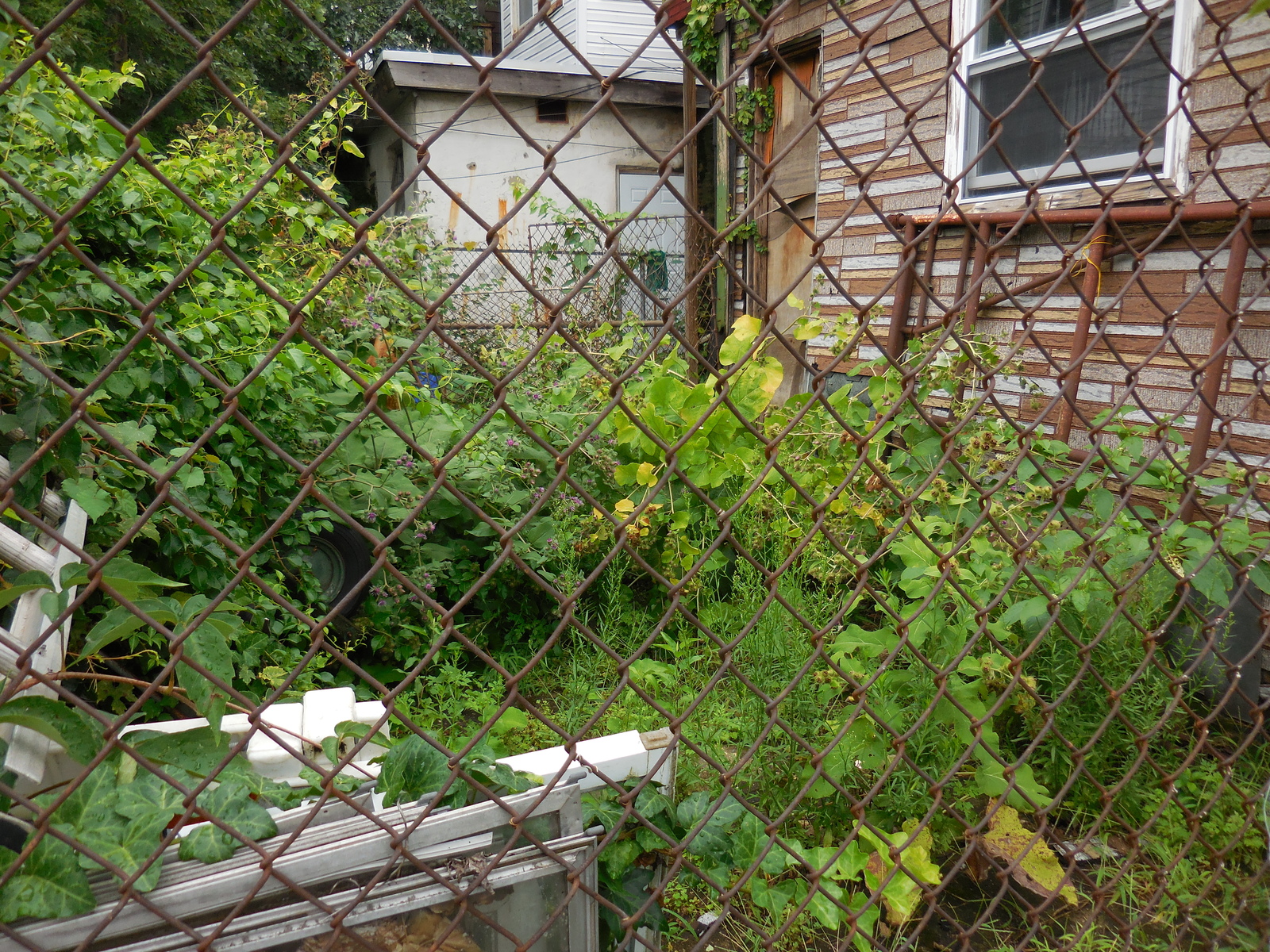 Photographic documentation of the work as submitted to the city's 311 record.