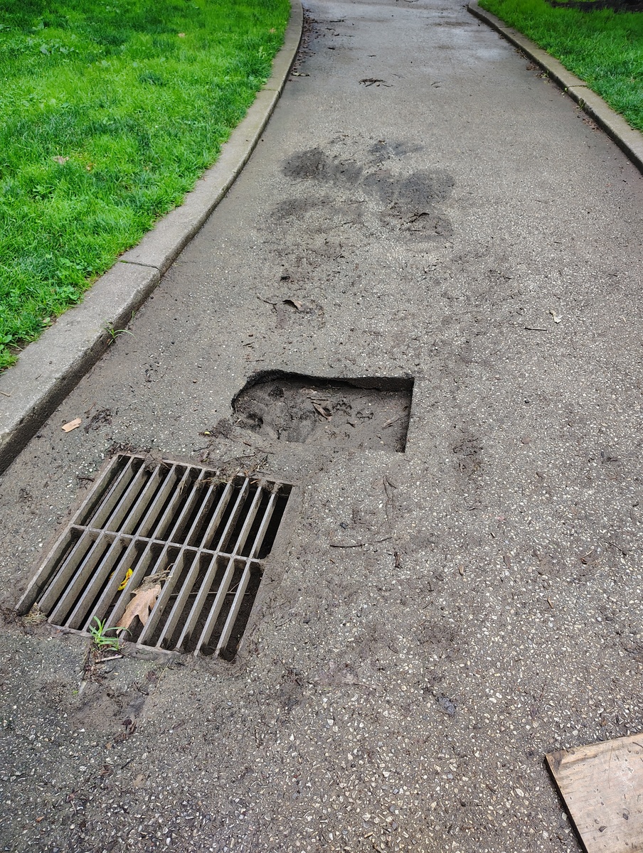 Photographic documentation of the work as submitted to the city's 311 record.