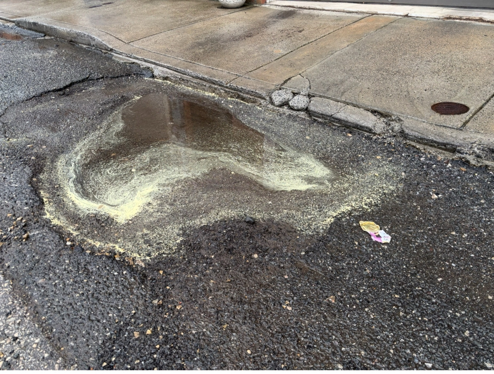Photographic documentation of the work as submitted to the city's 311 record.