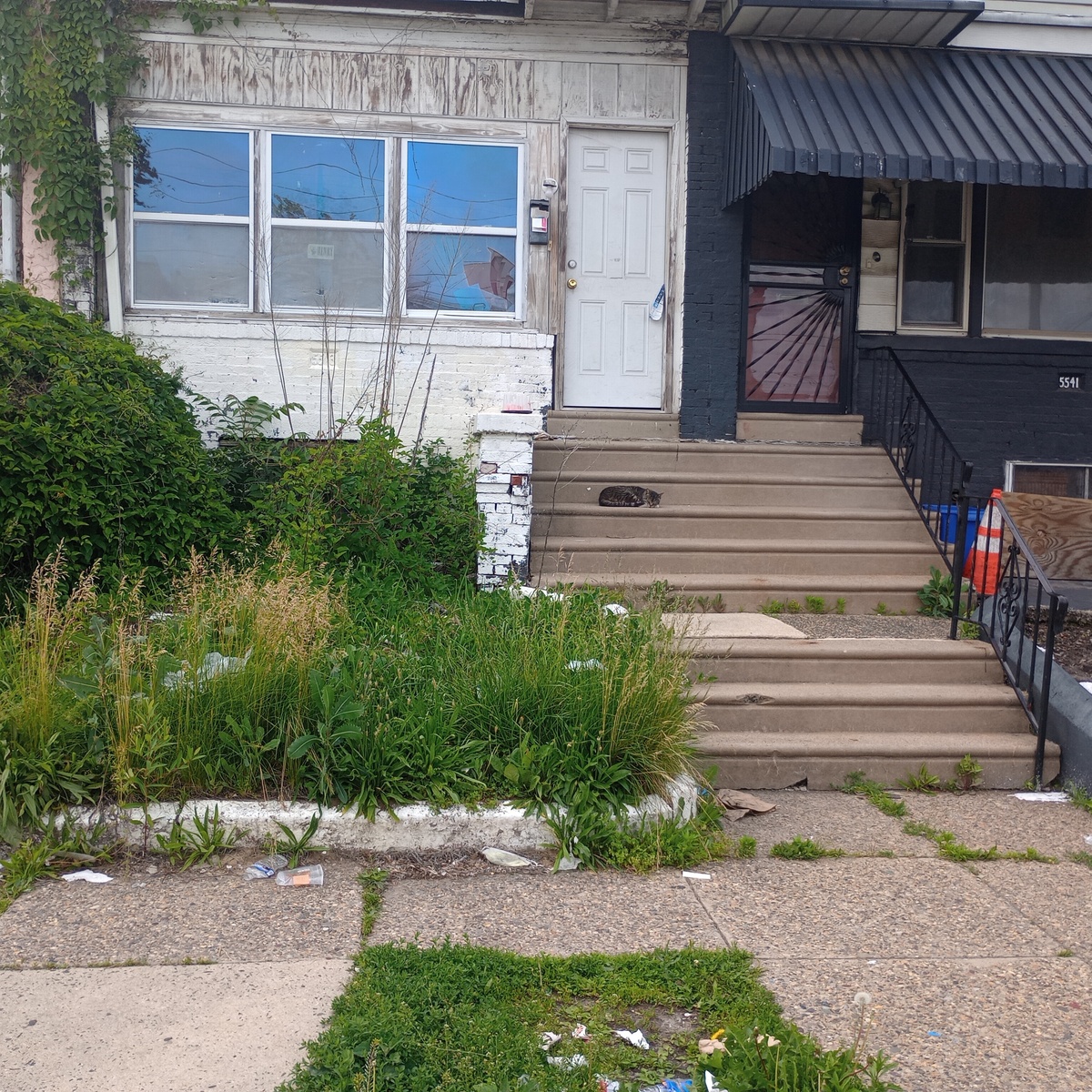 Photographic documentation of the work as submitted to the city's 311 record.