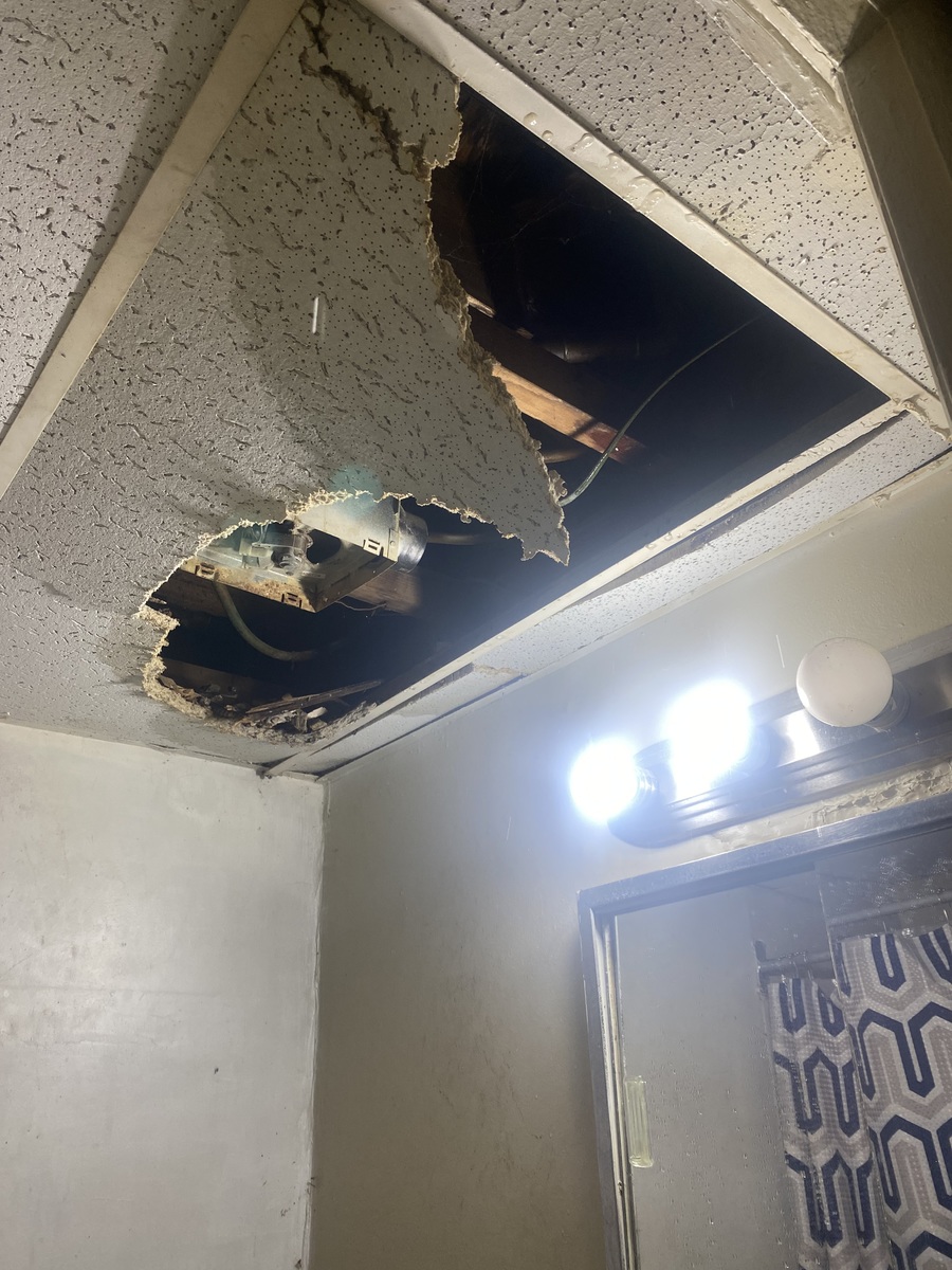 Photographic documentation of the work as submitted to the city's 311 record.