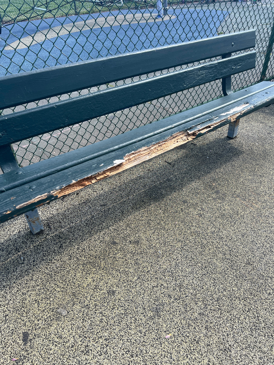 Photographic documentation of the work as submitted to the city's 311 record.