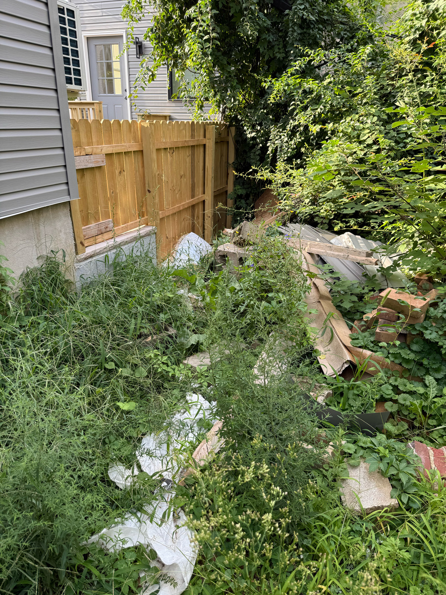 Photographic documentation of the work as submitted to the city's 311 record.