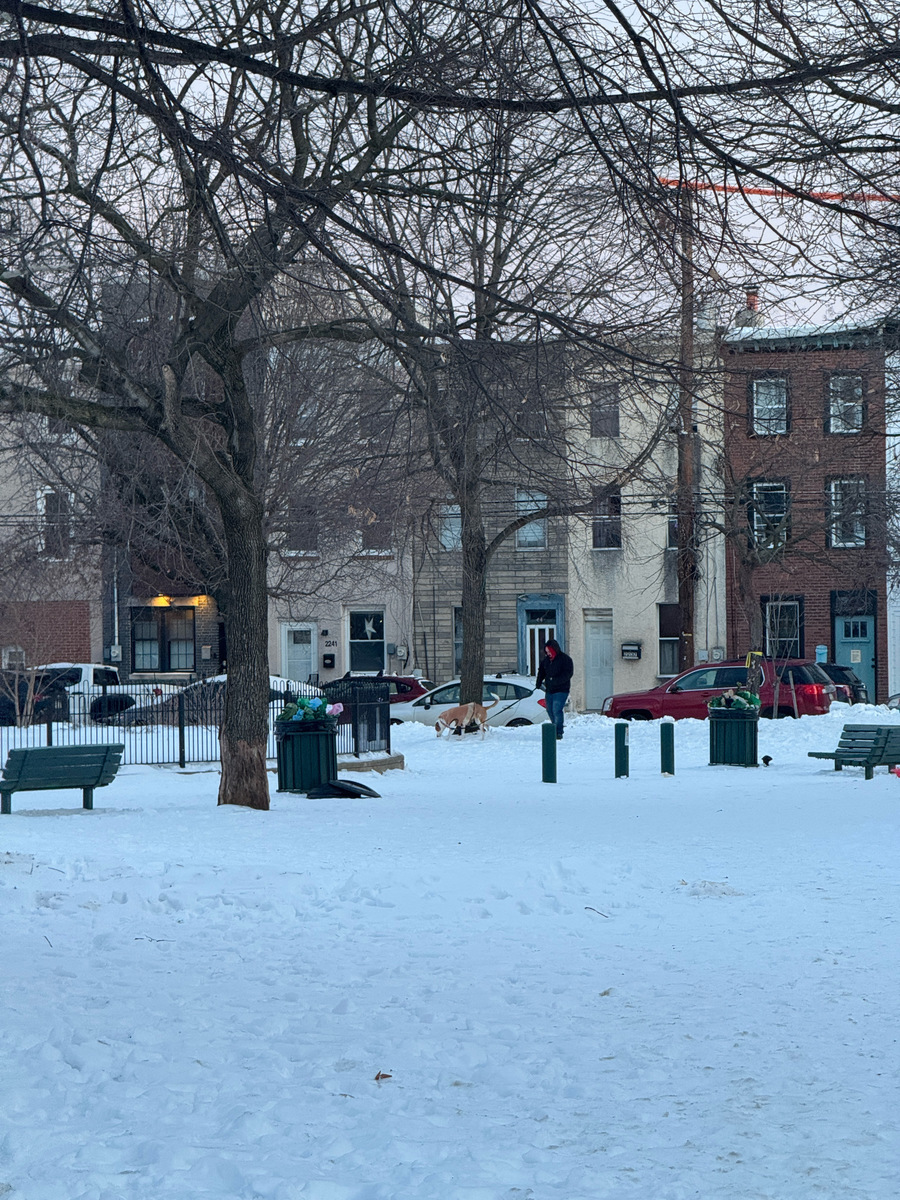 Photographic documentation of the work as submitted to the city's 311 record.