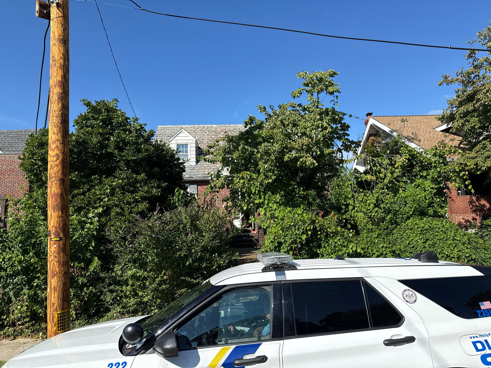 Photographic documentation of the work as submitted to the city's 311 record.