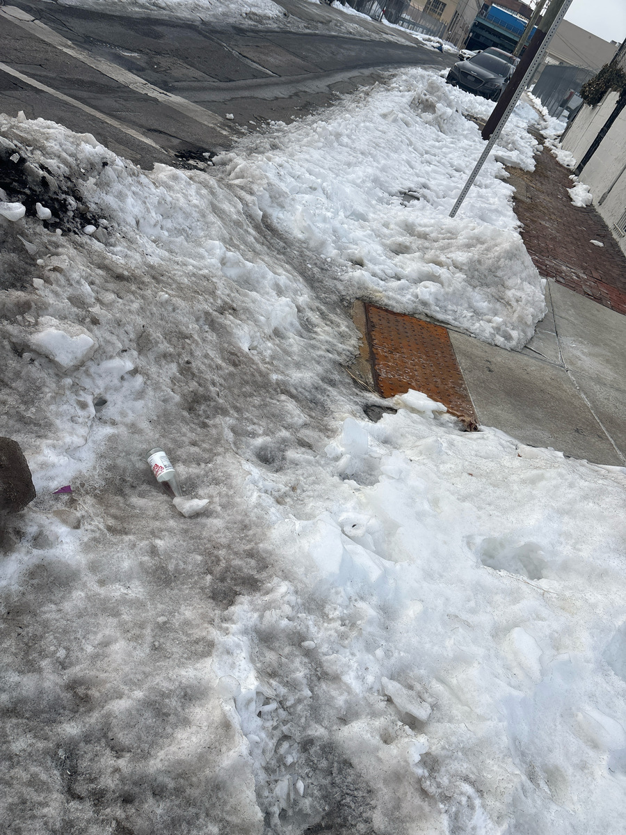 Photographic documentation of the work as submitted to the city's 311 record.