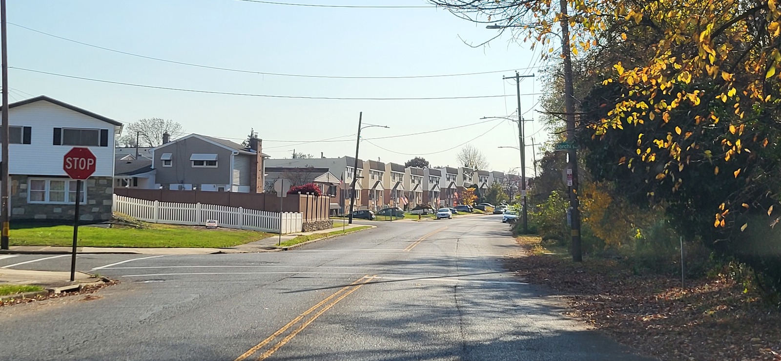Photographic documentation of the work as submitted to the city's 311 record.
