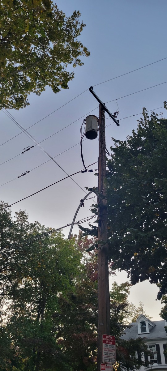 Photographic documentation of the work as submitted to the city's 311 record.