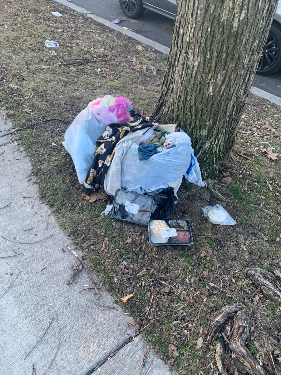 Photographic documentation of the work as submitted to the city's 311 record.