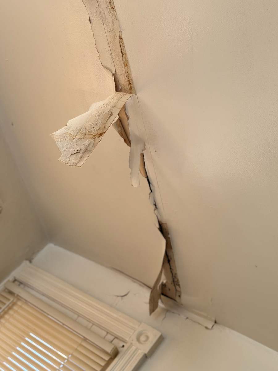 Photographic documentation of the work as submitted to the city's 311 record.