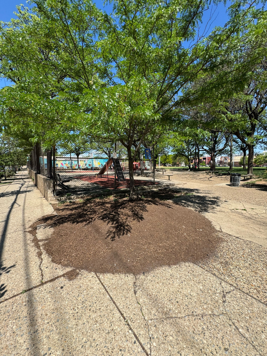 Photographic documentation of the work as submitted to the city's 311 record.