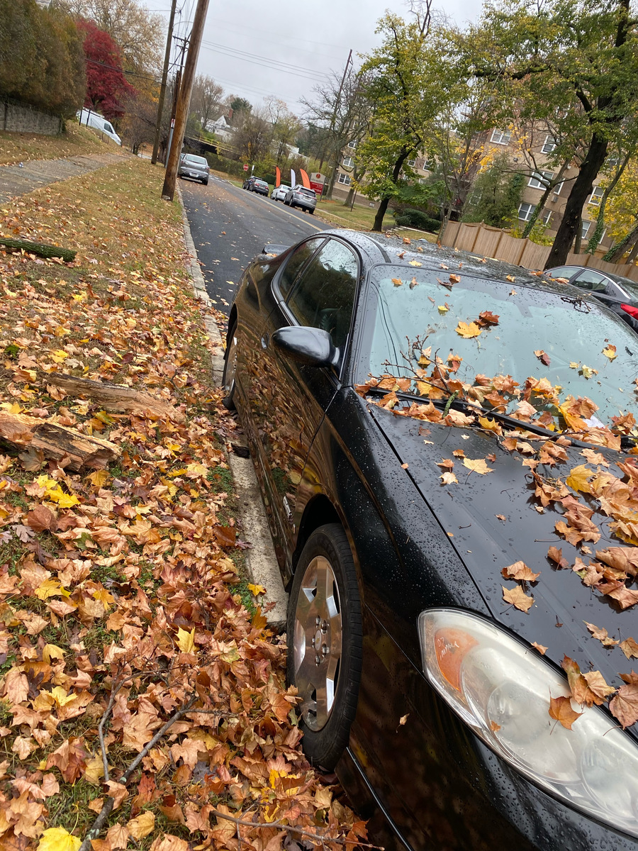 Photographic documentation of the work as submitted to the city's 311 record.