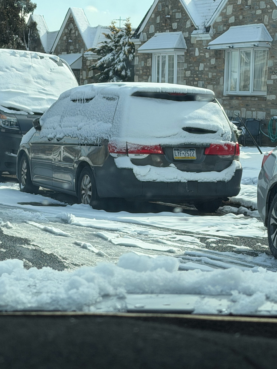 Photographic documentation of the work as submitted to the city's 311 record.