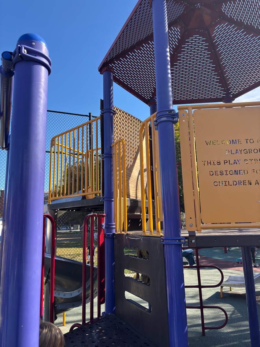 Photographic documentation of the work as submitted to the city's 311 record.