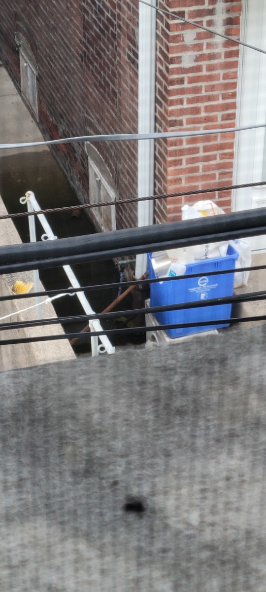 Photographic documentation of the work as submitted to the city's 311 record.