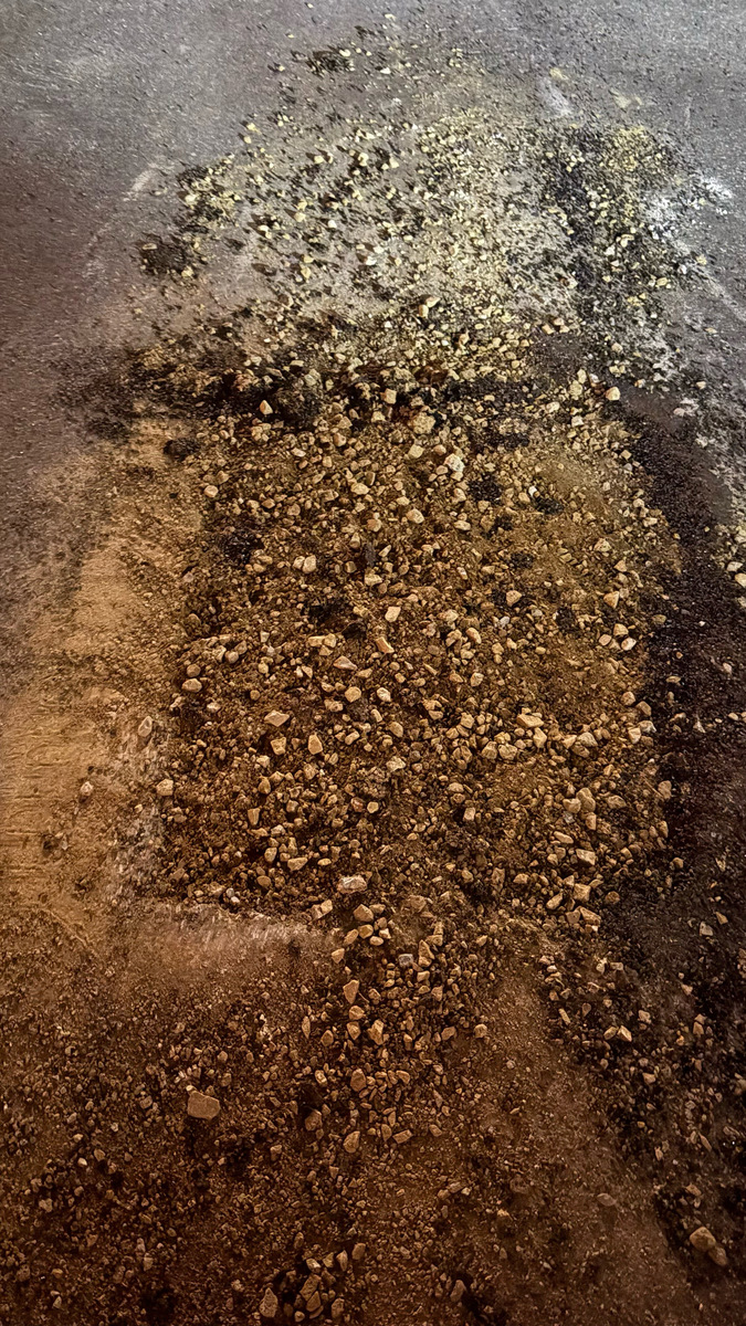 Photographic documentation of the work as submitted to the city's 311 record.