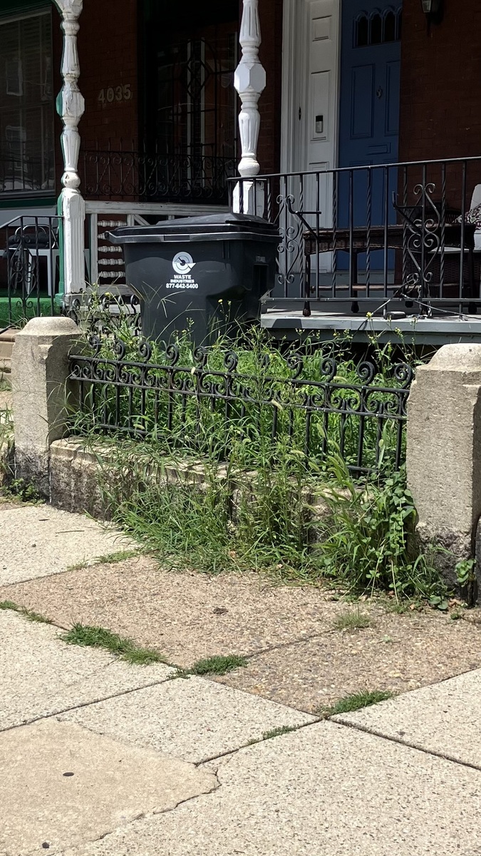 Photographic documentation of the work as submitted to the city's 311 record.
