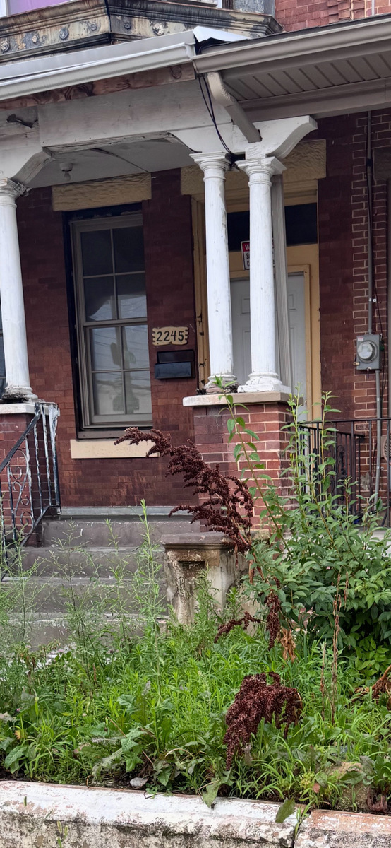 Photographic documentation of the work as submitted to the city's 311 record.
