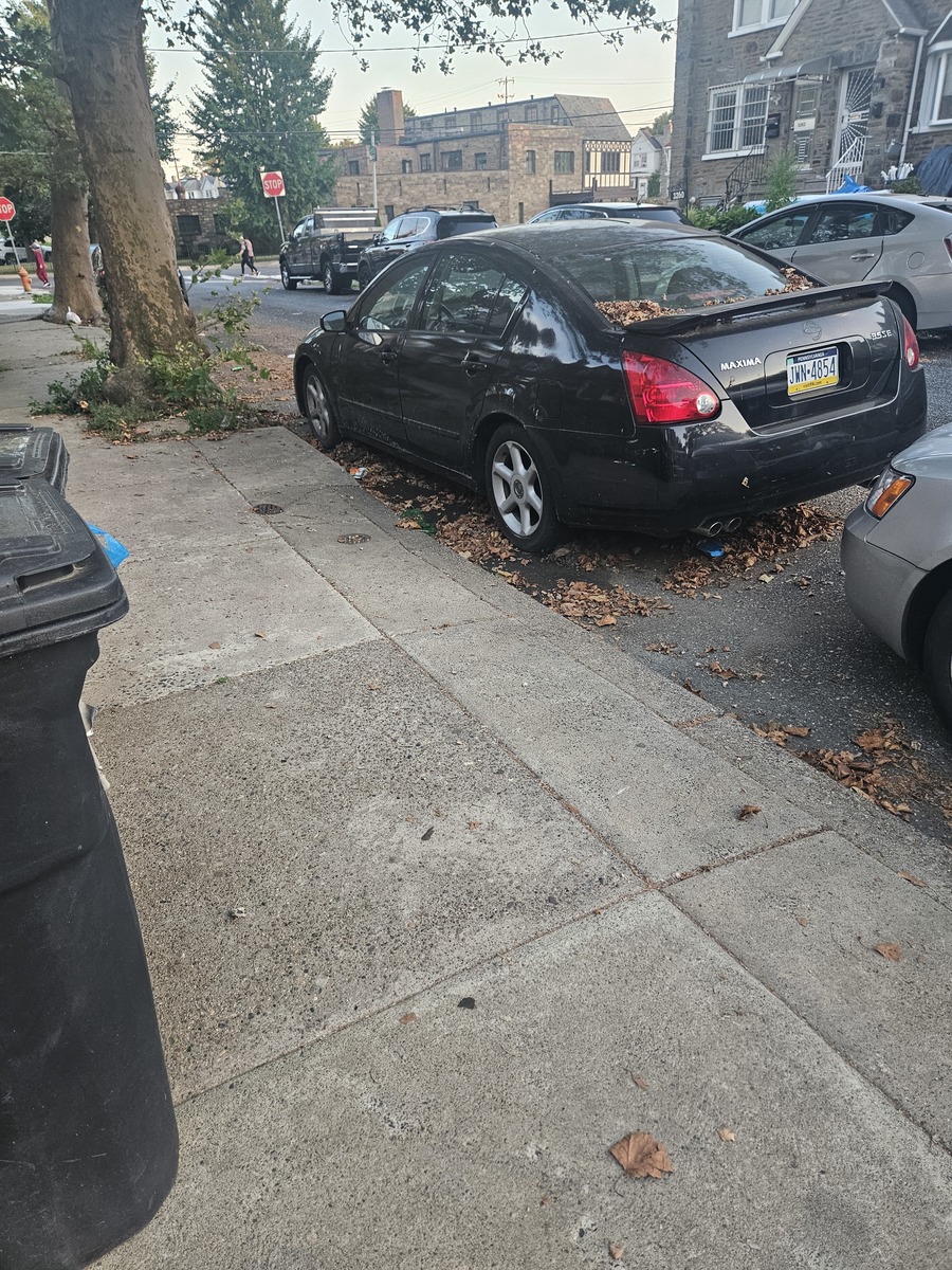Photographic documentation of the work as submitted to the city's 311 record.