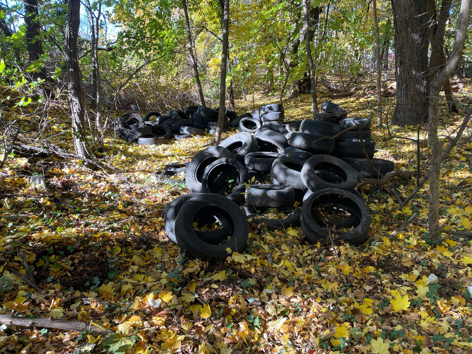 Photographic documentation of the work as submitted to the city's 311 record.