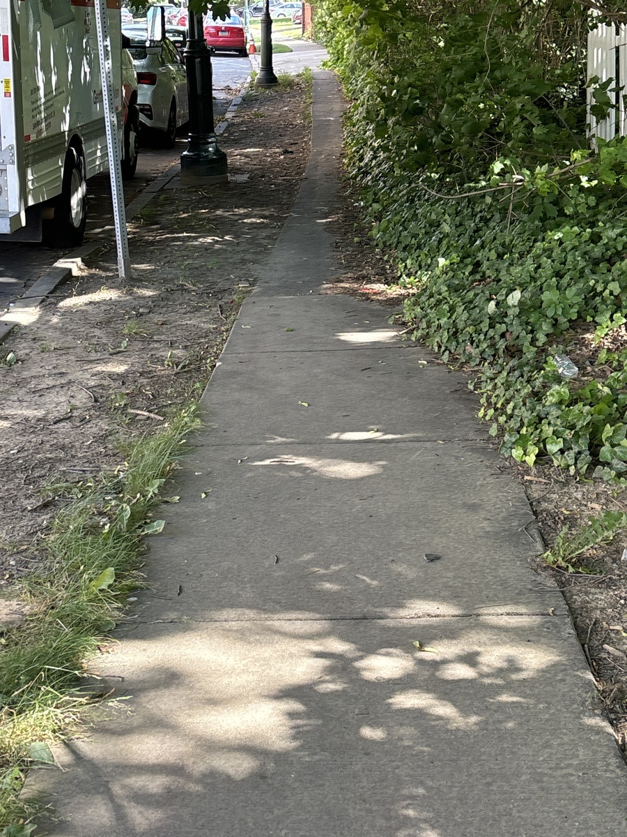 Photographic documentation of the work as submitted to the city's 311 record.