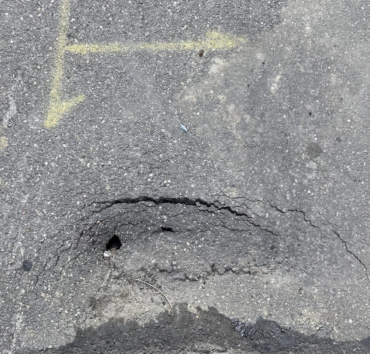 Photographic documentation of the work as submitted to the city's 311 record.