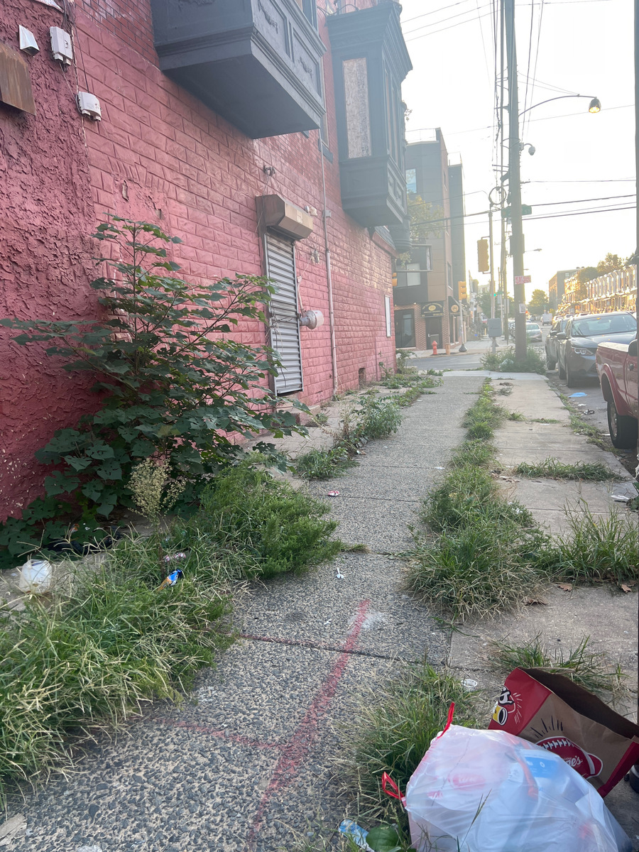 Photographic documentation of the work as submitted to the city's 311 record.