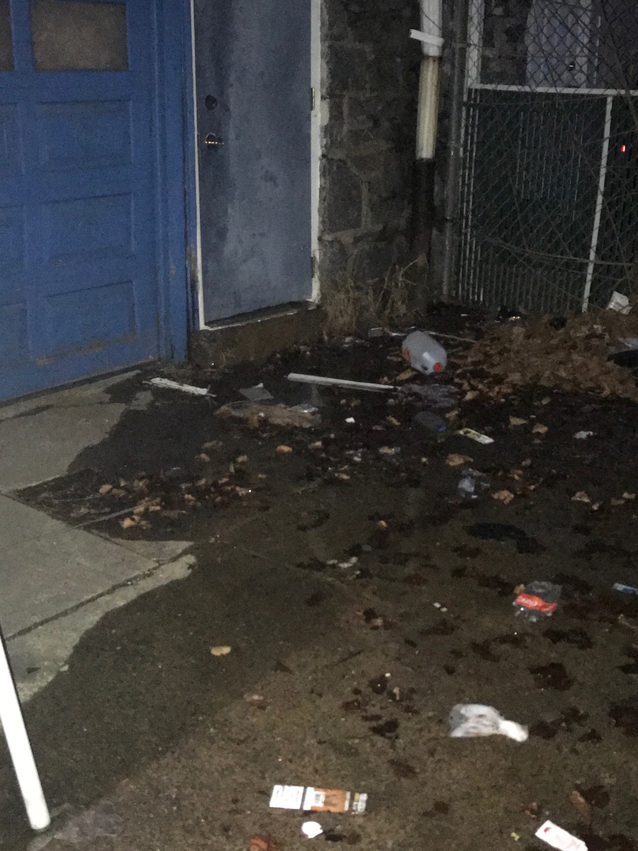 Photographic documentation of the work as submitted to the city's 311 record.