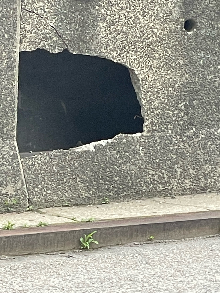 Photographic documentation of the work as submitted to the city's 311 record.