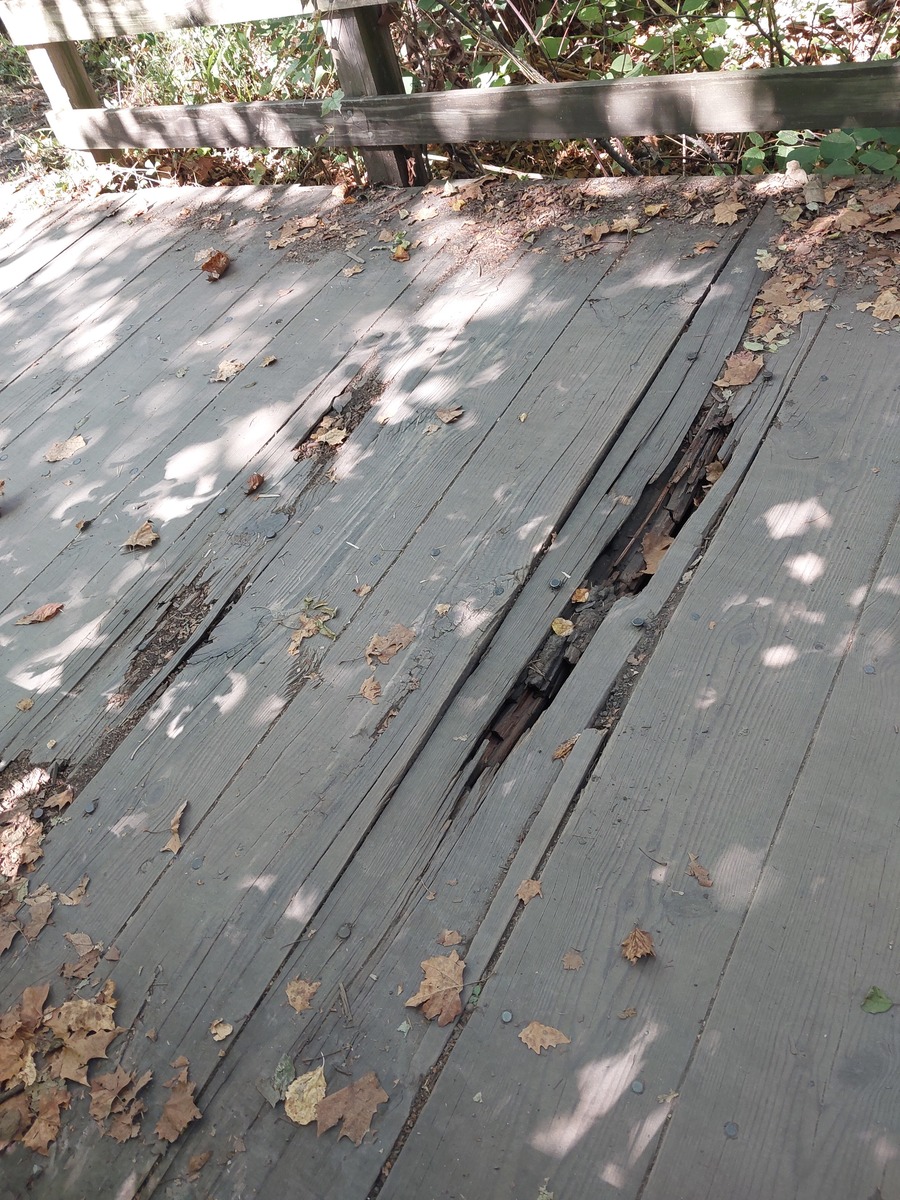 Photographic documentation of the work as submitted to the city's 311 record.