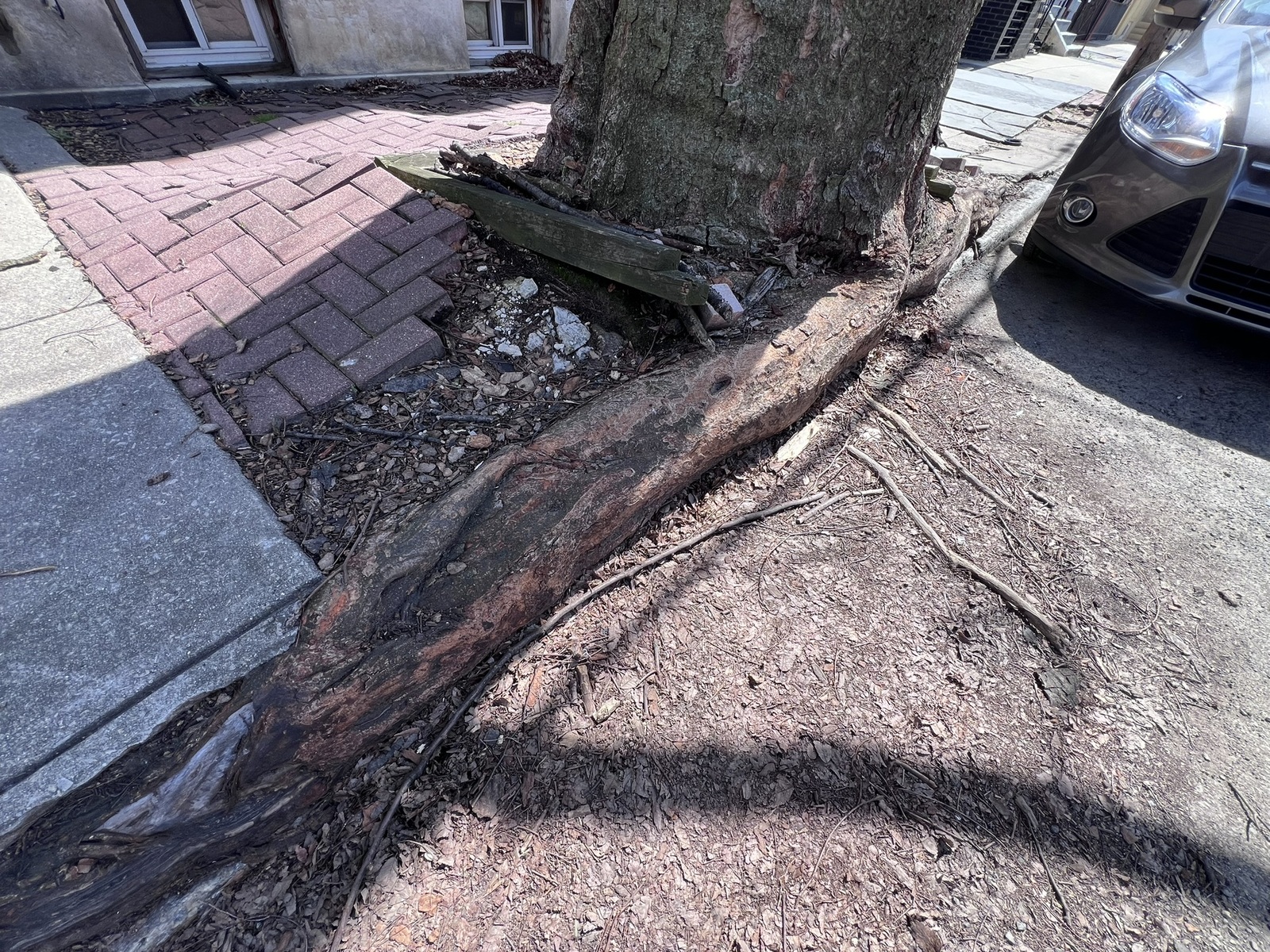 Photographic documentation of the work as submitted to the city's 311 record.