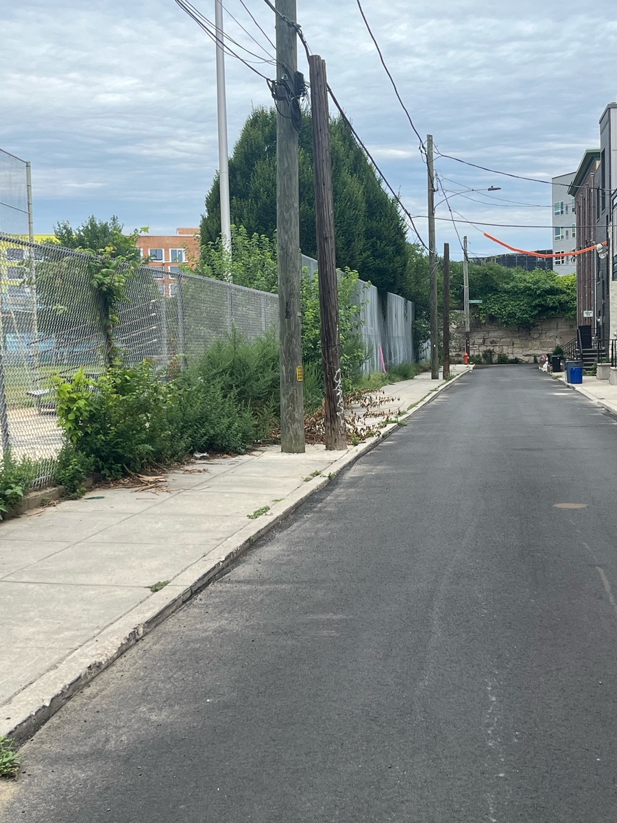 Photographic documentation of the work as submitted to the city's 311 record.