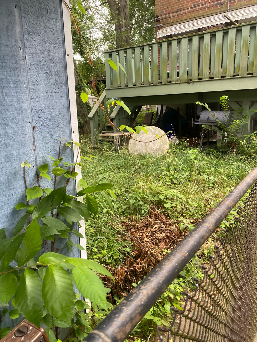 Photographic documentation of the work as submitted to the city's 311 record.