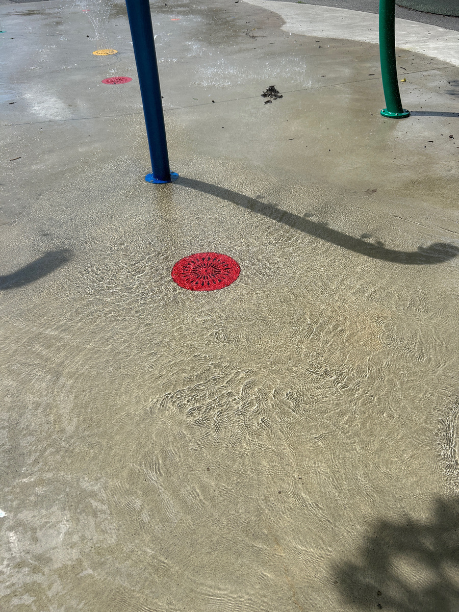 Photographic documentation of the work as submitted to the city's 311 record.