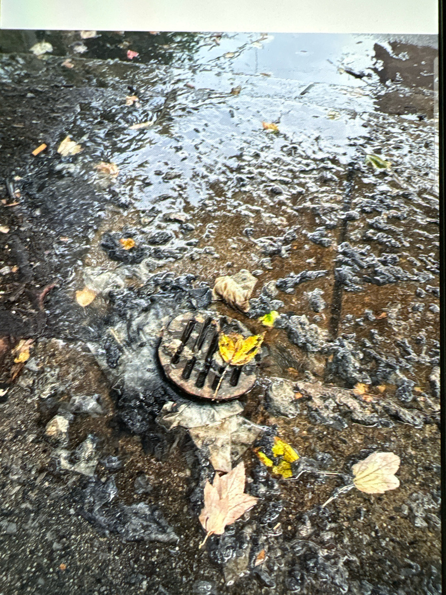 Photographic documentation of the work as submitted to the city's 311 record.