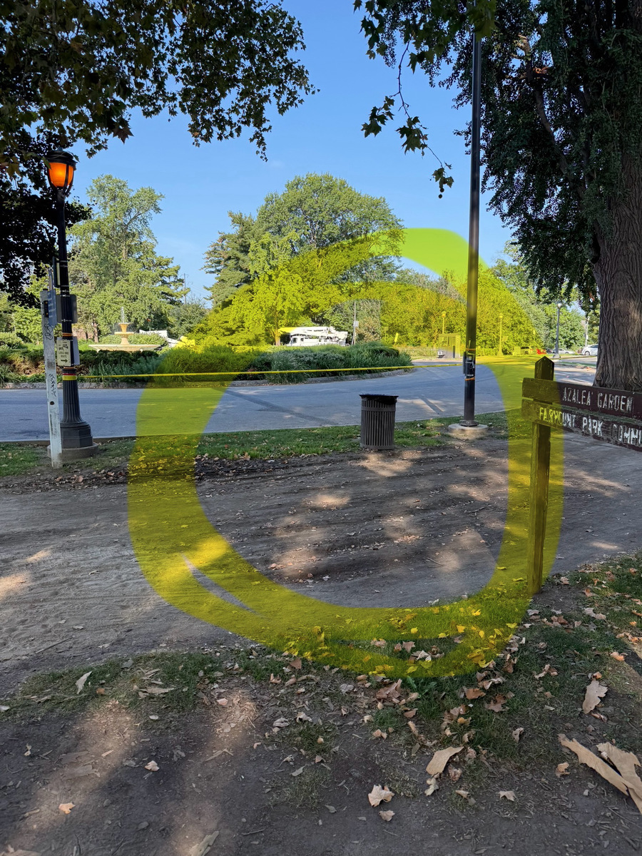 Photographic documentation of the work as submitted to the city's 311 record.