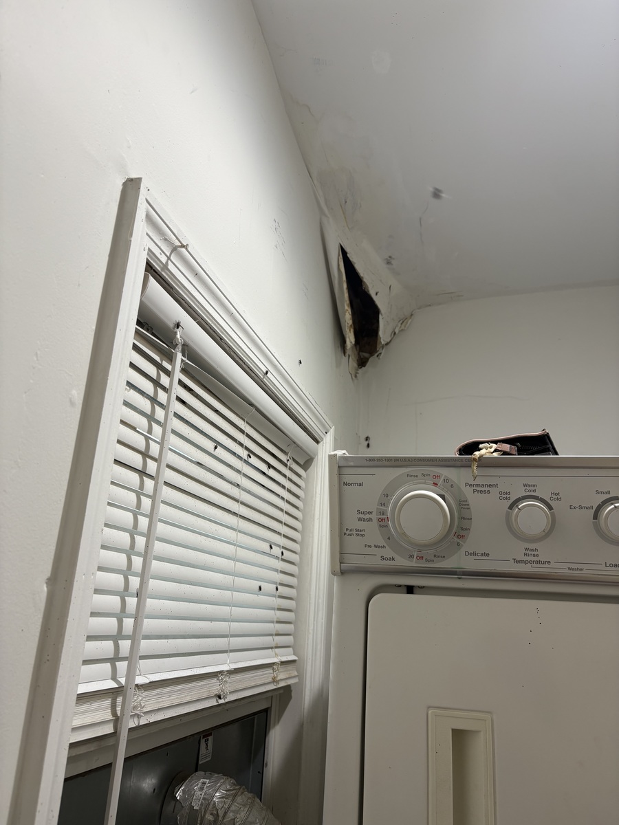 Photographic documentation of the work as submitted to the city's 311 record.