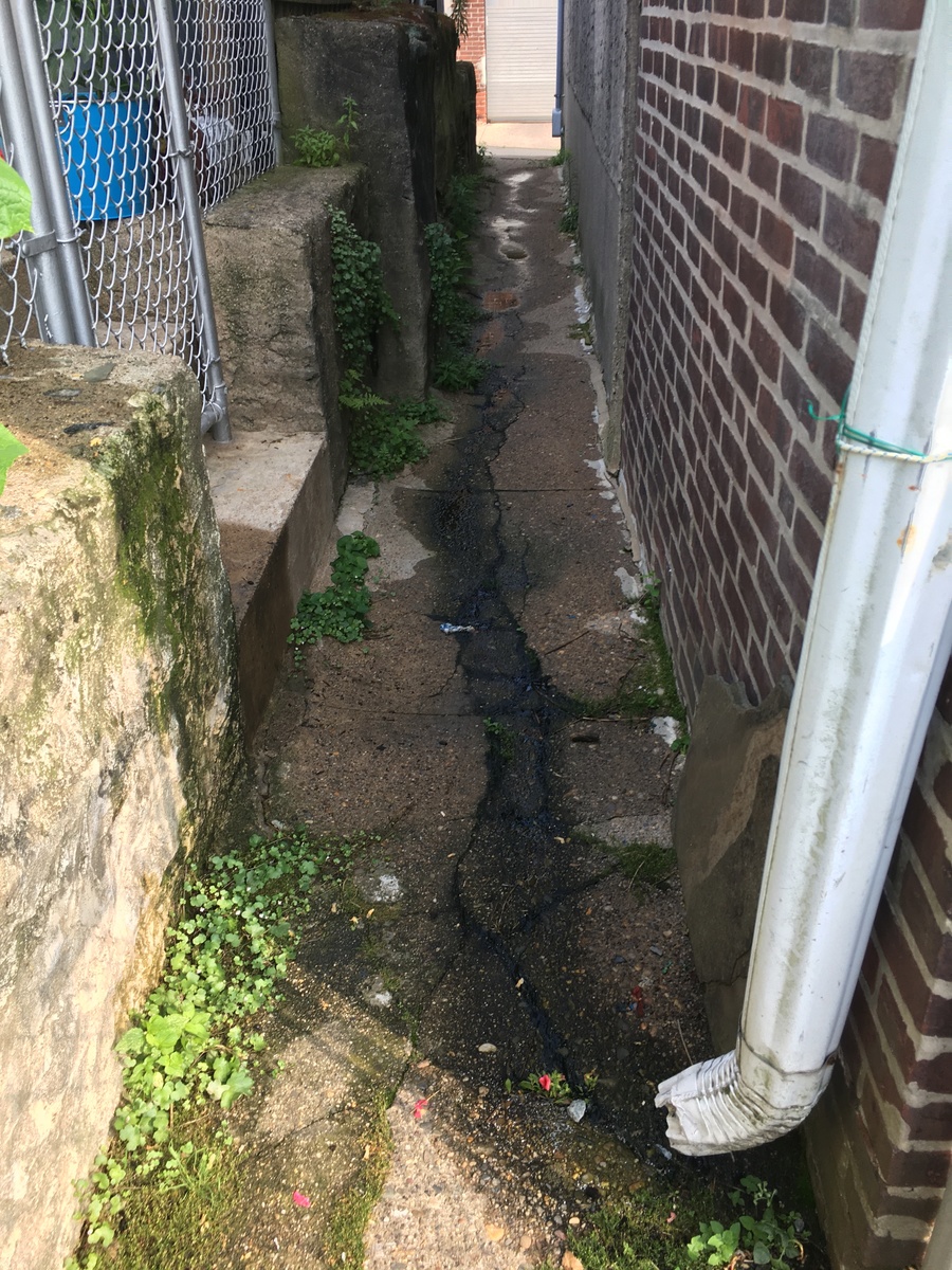 Photographic documentation of the work as submitted to the city's 311 record.