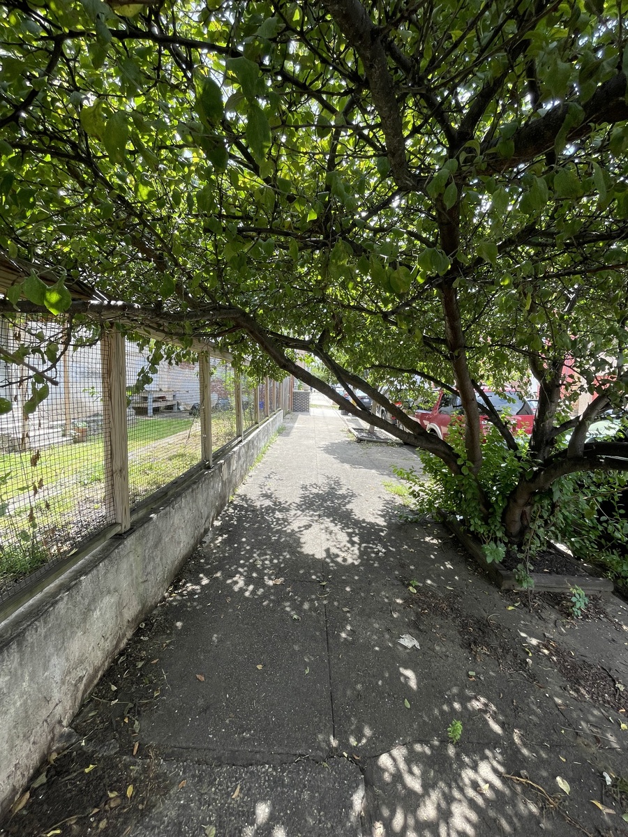 Photographic documentation of the work as submitted to the city's 311 record.